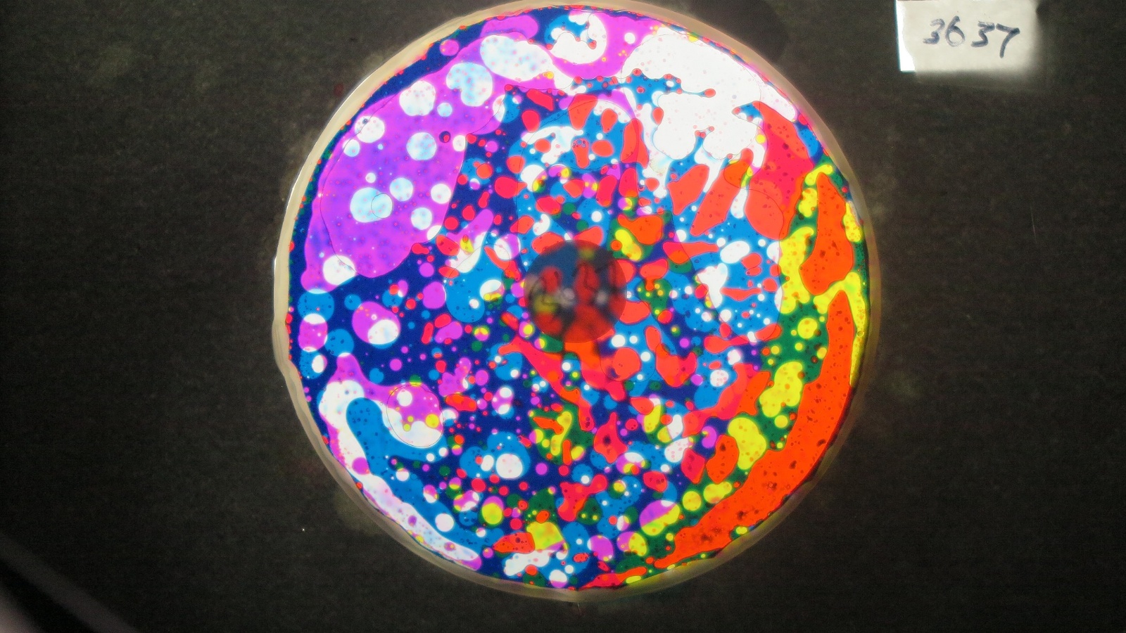 BV3637 bubble vision oil wheel